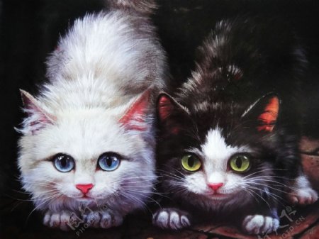 两只猫油画图片