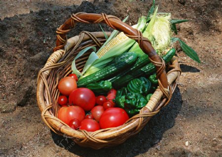 篮子里的蔬菜图片