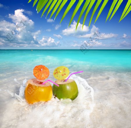 椰子与海滩风景图片