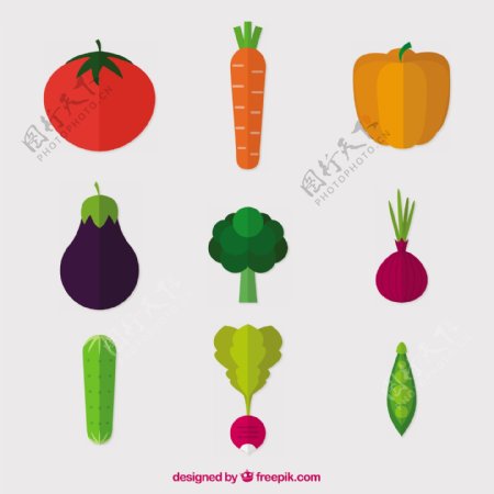 各种扁平蔬菜