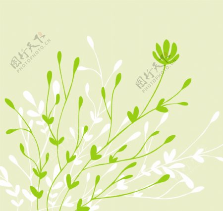 矢量植物花纹图片