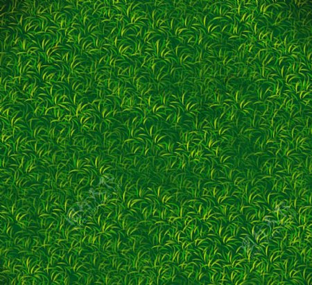 绿色草坪背景体育草坪背景图片