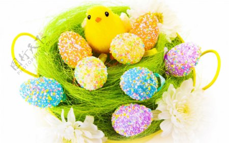 复活节彩蛋与小黄鸭