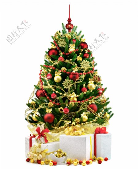 圣诞礼包与圣诞树