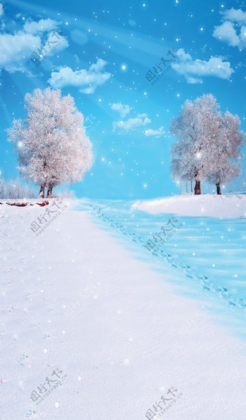 唯美雪景图片