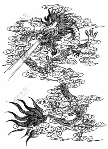龙纹图案吉祥图案中国传统图案231