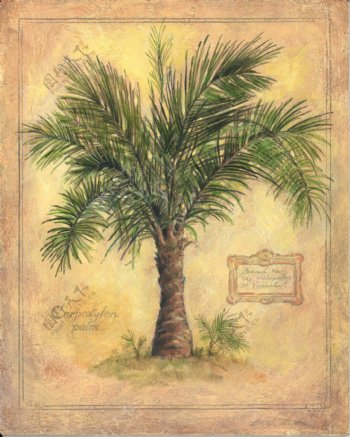 复古椰树油画画芯