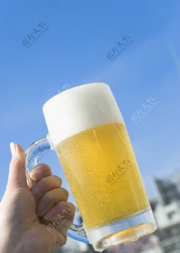 啤酒摄影图片