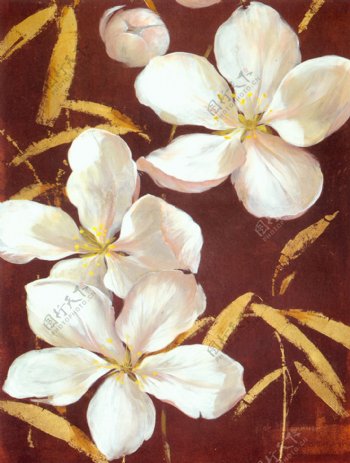 白色的茉莉花油画图片