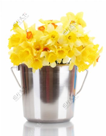 筒里的黄色鲜花