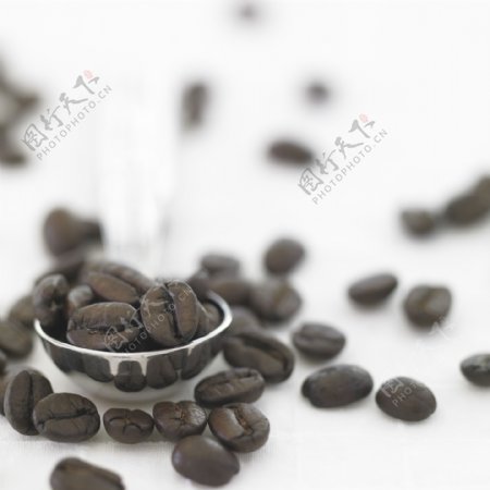 咖啡豆摄影特写图片