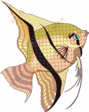 五彩小鱼水生动物矢量素材EPS格式0264