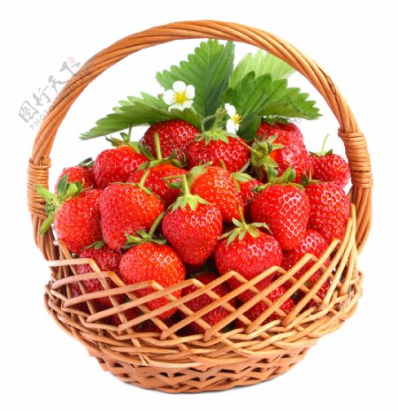 花篮中的草莓图片