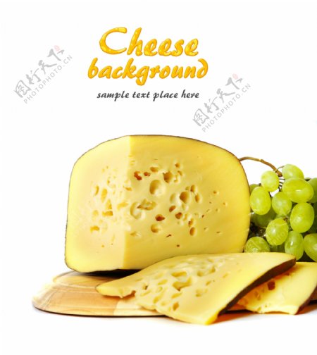 奶酪47图片
