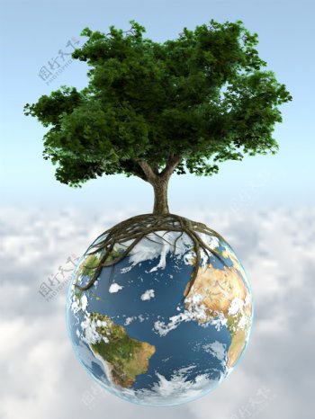 树木与地球