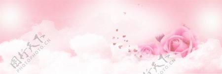 情人节粉色玫瑰花背景