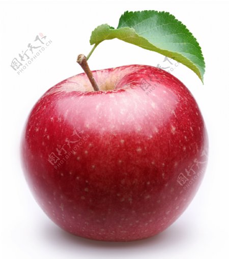 新鲜红苹果图片