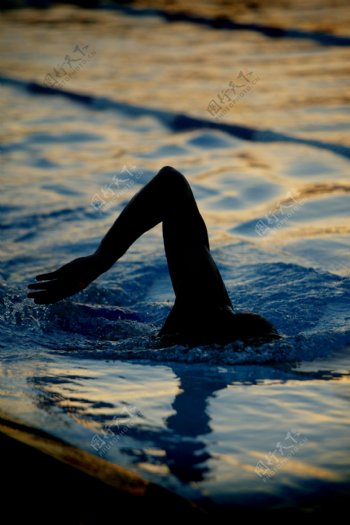 游泳的运动员图片