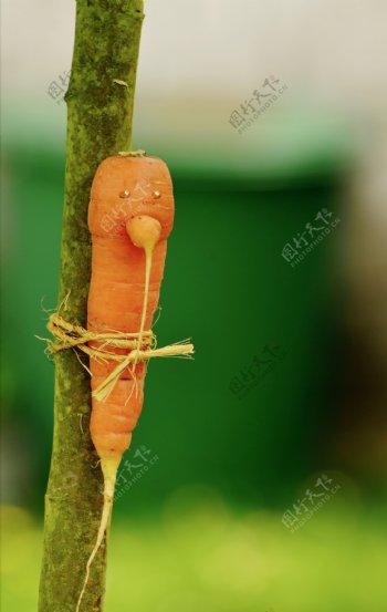 可爱胡萝卜图片