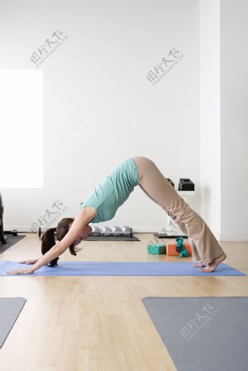 瑜伽健身的女性图片