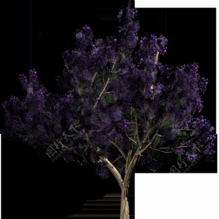 紫色树叶元素
