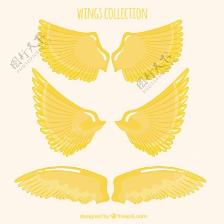 手绘金色翅膀装饰图案