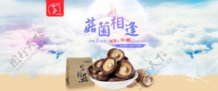 中国风七夕香菇海报提供源文件