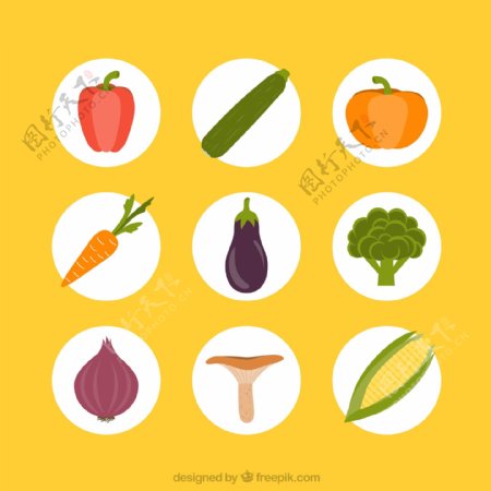 常见蔬菜图标
