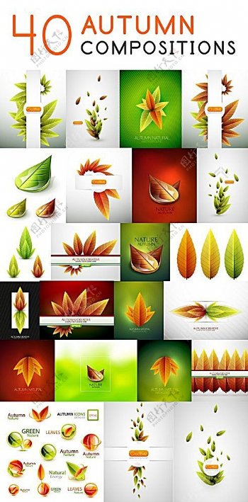 各种叶子图标图案设计