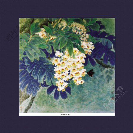 植物鲜花油画背景图片