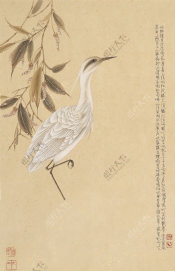 中国古典花鸟画素材免费下载