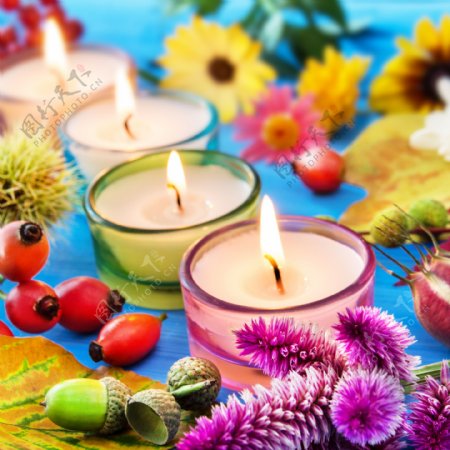 蜡烛和鲜花图片