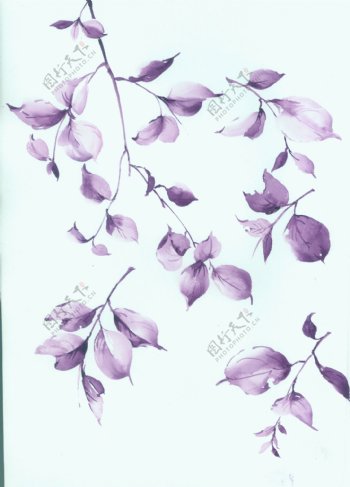 紫色手绘枝叶
