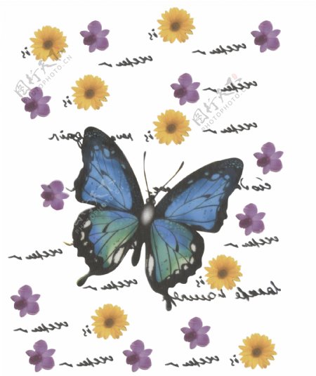 蝴蝶花图案花型