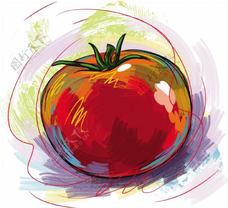 水彩画番茄