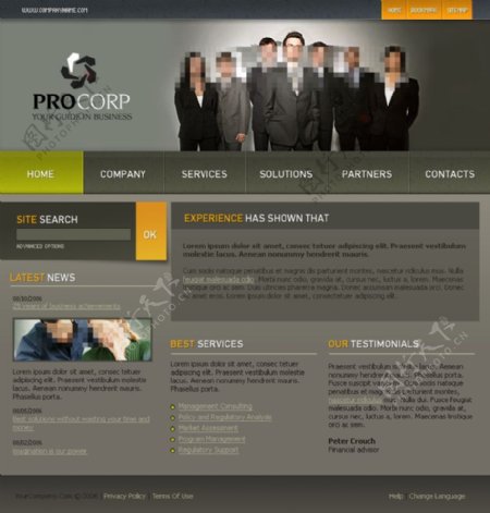 商务化风格网站设计模板