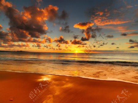 黄昏金色夕阳海滩图片