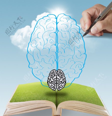 一方面从书成长中的大脑