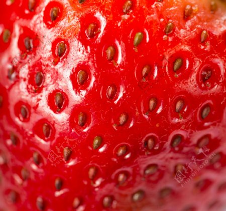 草莓表面摄影