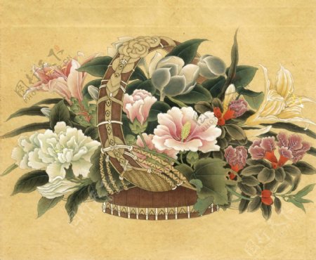 中国画花卉花朵古典