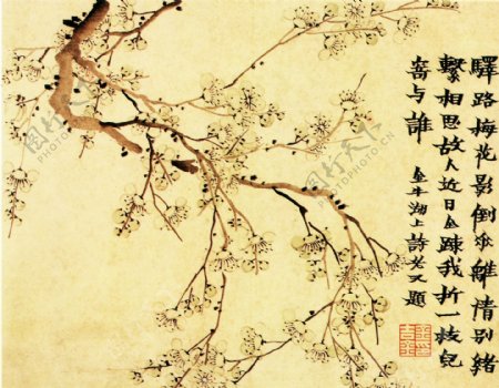 梅花图a花鸟画中国古画0472