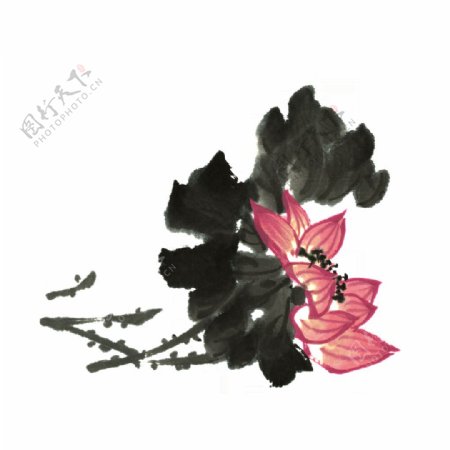 花朵水墨画古典中国风