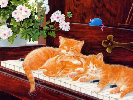 猫咪宠物手绘画26猫