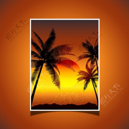 热带日落与棕榈树