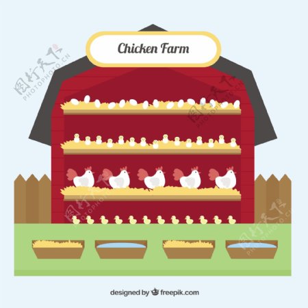 鸡和谷仓背景平面设计素材