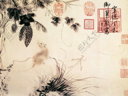 瓜鼠图a花鸟画中国古画0181