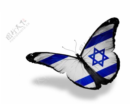 以色列国旗蝴蝶图片