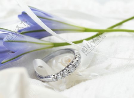 两朵蓝花旁的钻石戒指图片