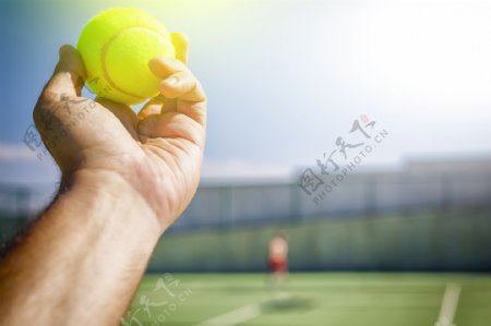 拿着网球的手势图片