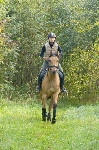 树林旁骑马的女孩图片